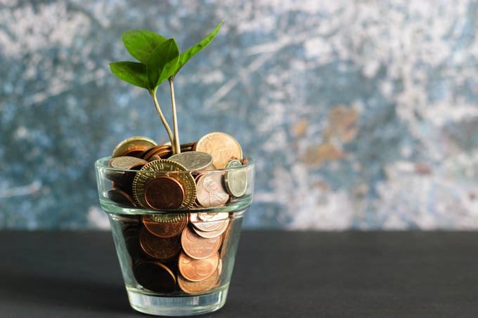 Coins in a jar with a plant growing out of it. 
